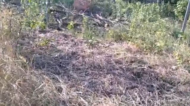 #ЕЙСК, #ДАЧИ ? Дальневосточники, земляки,не обижайтесь! Я нашла свой Рай! РАБОТАЮ ДАЛЬШЕ! смотреть онлайн