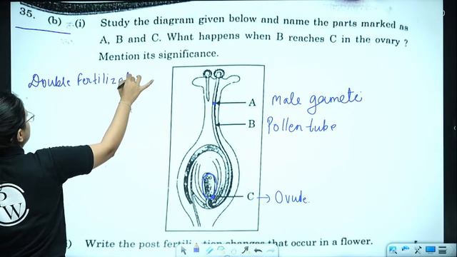 SCIENCE : Live Paper Discussion 📝 | CBSE Class 10th Boards 2024 | Pure English 🔥 смотреть онлайн