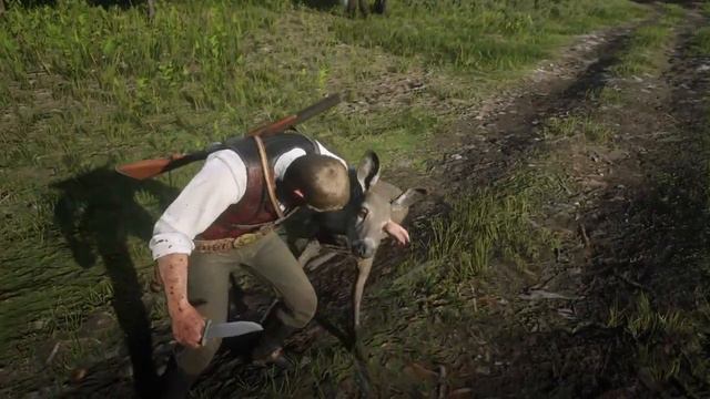 Охота на оленя при помощи лассо в RDR2 смотреть онлайн