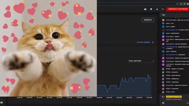 А СОТКА СЕГОДНЯ ВЫЙДЕТ ПОГУЛЯТЬ? смотреть онлайн