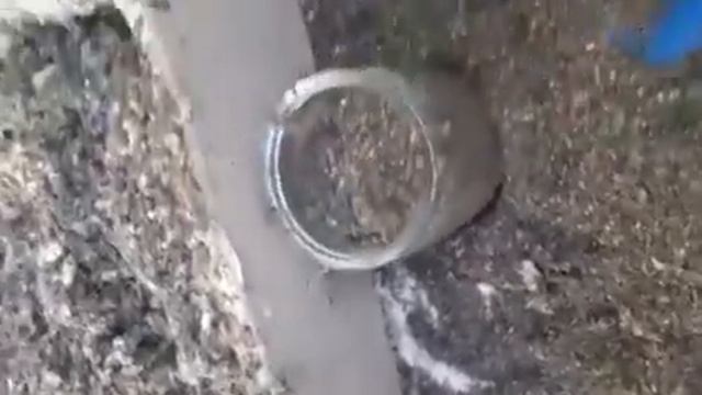 Молярий Восковой Моли - хранение продуктов жизнедеятельности личинки восковой моли зимой (ПЖЛВМ) смотреть онлайн