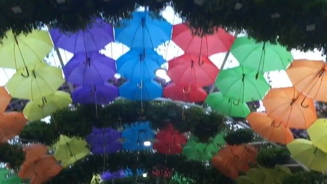 VLOG 8 ИЗ ДУБАЯ! ПАРК ЦВЕТОВ ?? КАК ДОЕХАТЬ САМИМ? смотреть онлайн