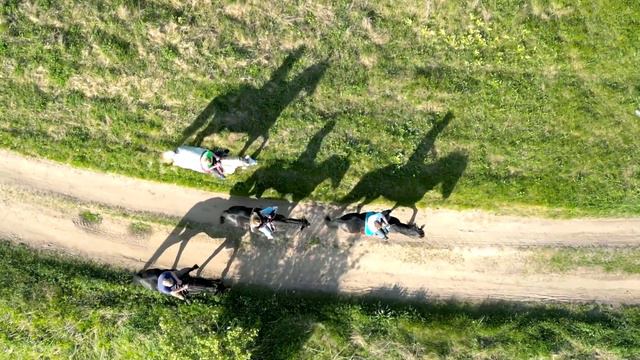 Бунин ручей смотреть онлайн