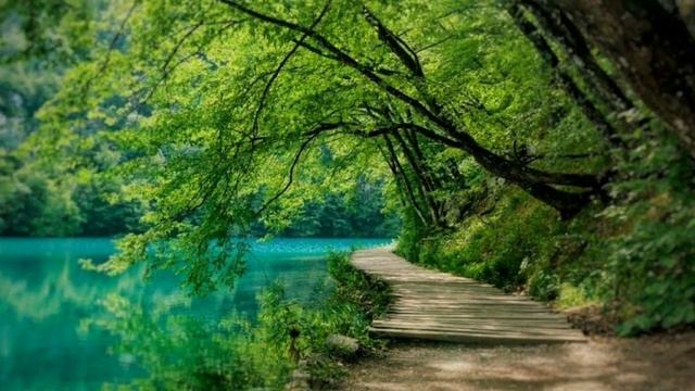 Адажио - Альбинони. Adagio in G Minor - Albinoni (Strings and Organ) смотреть онлайн