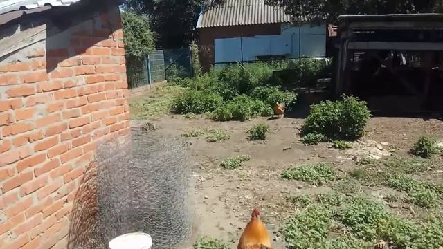 СЕННИК ИЗ ЧЕРДАКА. Как сделать сенник на чердаке бесплатно, быстро, просто и легко своими руками? смотреть онлайн