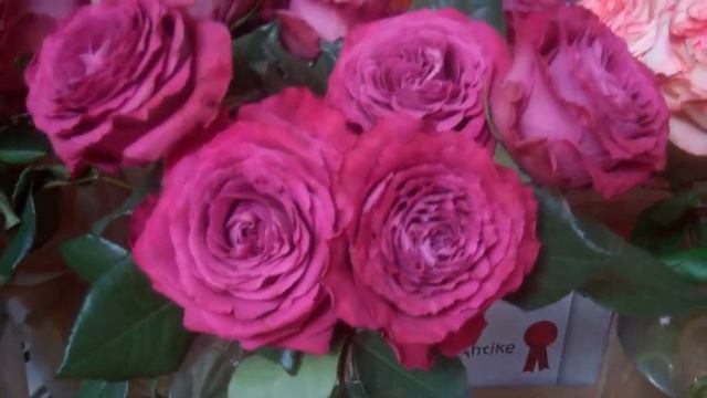 Precious Moments смотреть онлайн