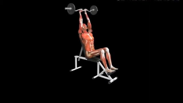 Разгибание трицепсов со штангой над головой сидя Triceps Extension Seated Barbell