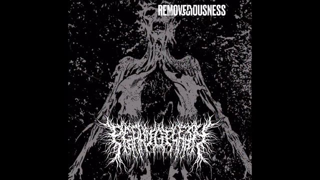 Song Recommendations: Slam Metal ￼