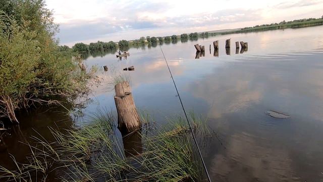 ВОБЛЕР НА ОКУНЯ №1! ОКУНЬ НА ВОБЛЕР ЛЕТОМ! РЫБАЛКА НА СПИННИНГ смотреть онлайн