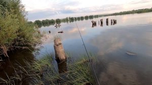 ВОБЛЕР НА ОКУНЯ №1! ОКУНЬ НА ВОБЛЕР ЛЕТОМ! РЫБАЛКА НА СПИННИНГ