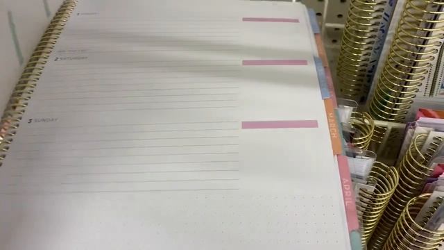 Recollections Planner Release 2021 | Michaels @Yo-Yo finds смотреть онлайн