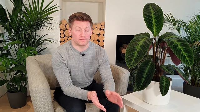 Calathea Jungle Velvet Care - Essential Tips For Growing A Stunning Calathea Warscewiczii.