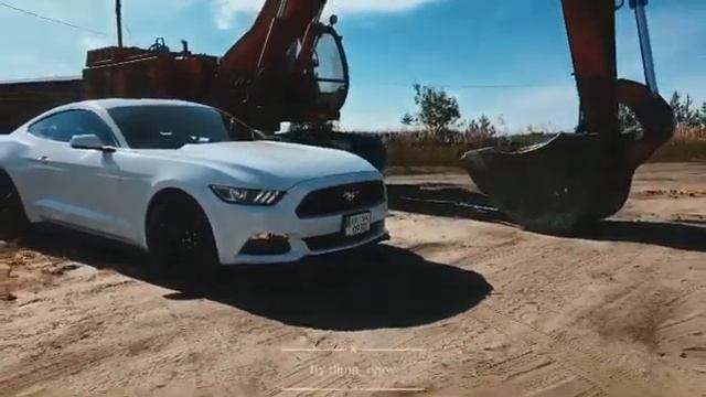 FORD MUSTANG смотреть онлайн