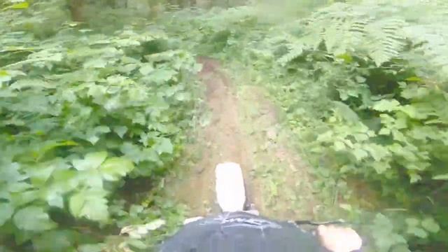 Awesome Trail Riding|Washington State Trail Riding With Honda XR 80!