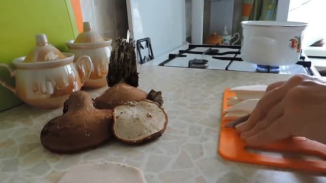 Birch Polypore Tea.Чай из березового трутовика.Часть 2. смотреть онлайн