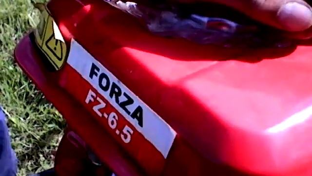 Двигатель FORZA 6.5 л.с. смотреть онлайн