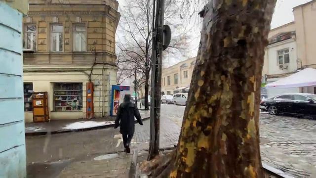 Tbilisi Crazy March смотреть онлайн