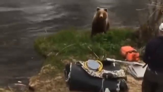 Охота и рыбалка / юмор без цензуры / видео от друзей и подписчиков смотреть онлайн