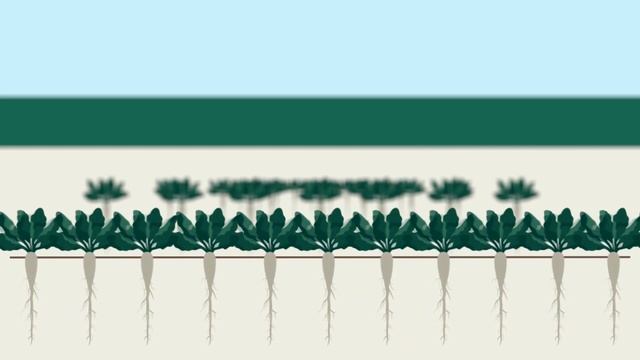 КОНВИЗО® СМАРТ: 3 основных преимущества смотреть онлайн