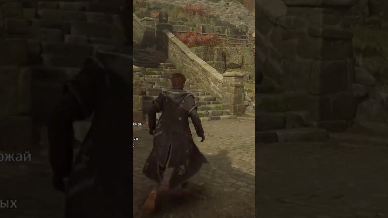 ОБЗОР Hogwarts legacy №11 #harrypotter #hogwartslegacy #ps5 смотреть онлайн