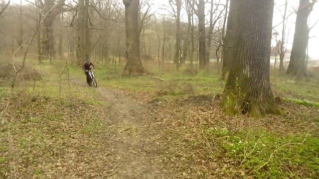 даунхилл начало тренировок смотреть онлайн