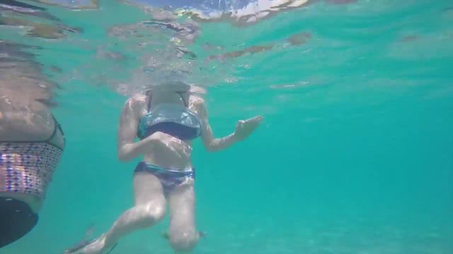 Hawaiian Sea Turtles in Oahu, 2015 смотреть онлайн