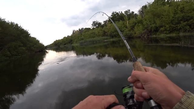 ОТ ЭТИХ ПОКЛЁВОК НА ПОППЕР ДУХ ЗАХВАТЫВАЕТ! ВЕЧЕРНИЙ ВЫХОД КРУПНЯКА! Рыбалка на спиннинг. смотреть онлайн
