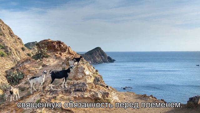 Племя Сура в Индии: женщины занимаются опасной охотой на крокодилов смотреть онлайн