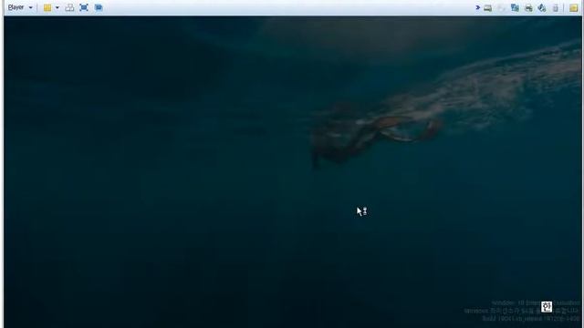 Windows 10에 미디어 플레이어 7.1 설치하기 смотреть онлайн