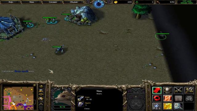 НО КОТЫ ПОЛУЧАЮТ ЛЮЛЕЙ - КотоМышь ( Cat & Mouse ) Warcraft III смотреть онлайн