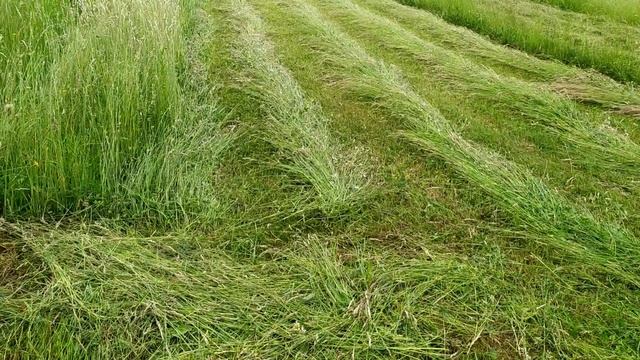 Роторна косарка wirax 1.35 & DF 244 смотреть онлайн