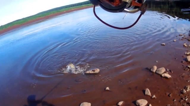 Ловим окуня и щучку в речке с Еленой и Иваном . смотреть онлайн