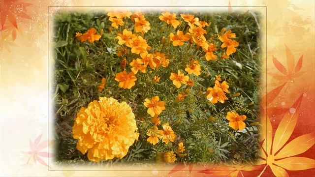 Улыбка осени смотреть онлайн