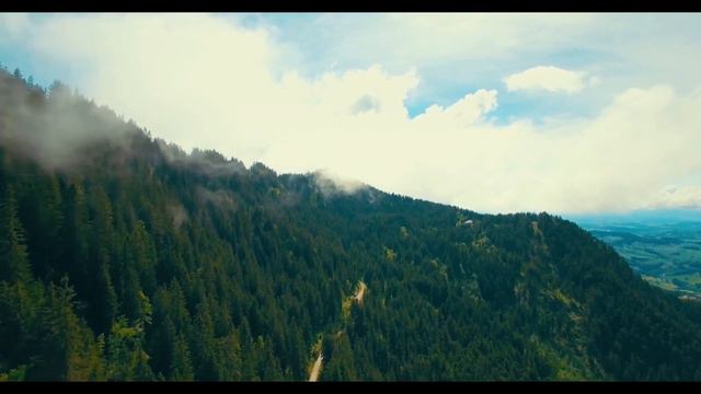 Beautiful Relaxing Music For Sleep, Yoga, Relaxation / Wonderful Classical Piano, Violin, Guitar.