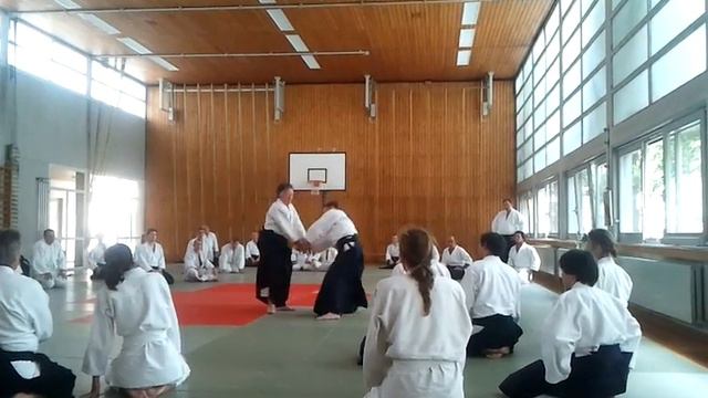 AIATJ Shiho nage Gérard Blaize Sensei смотреть онлайн
