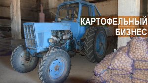 Картофельный бизнес Валерия Пряничникова
