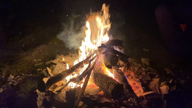 НОВОУЛЬЯНОВСКИЙ ПРУД смотреть онлайн