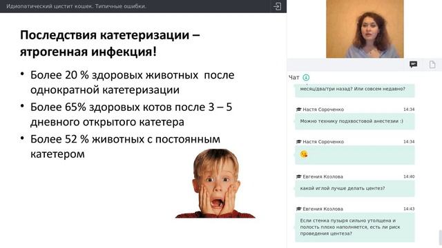 «Идиопатический цистит кошек. Типичные ошибки» Войтова Л.Ю вебинар за 27.08.20 смотреть онлайн