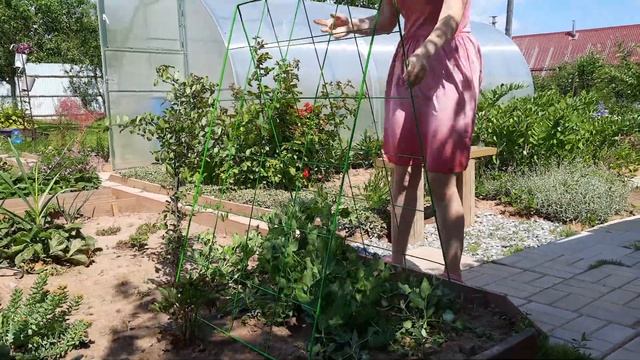 Шпалера для огурцов и гороха смотреть онлайн