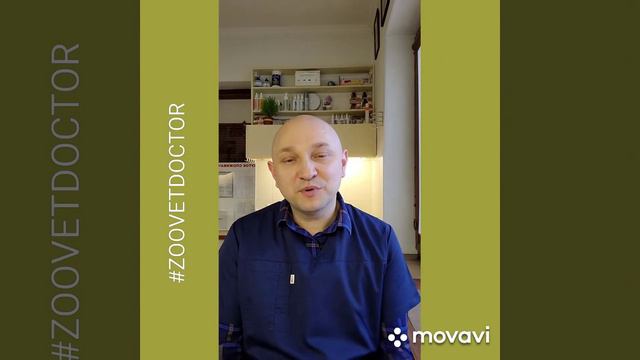 🐄 Коровотерапия-лечение людей энергией коров❤ советы ветеринара Дмитрия Ушакова ветеринарный блог смотреть онлайн