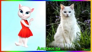 Персонажи Говорящий Том и друзья в Реальной Жизни!