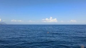 Пляж Пирс Бар отеля Crystal De Luxe Resort & Spa 5*  Кемер Турция