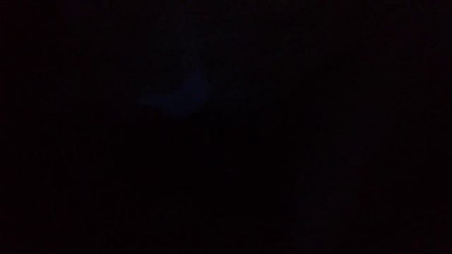 внимание кот умирает не дышит прощу посмотреть моё секретное видео