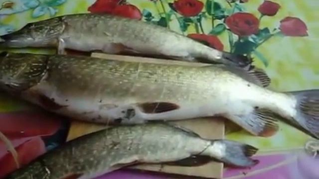 Щука, уже дома смотреть онлайн