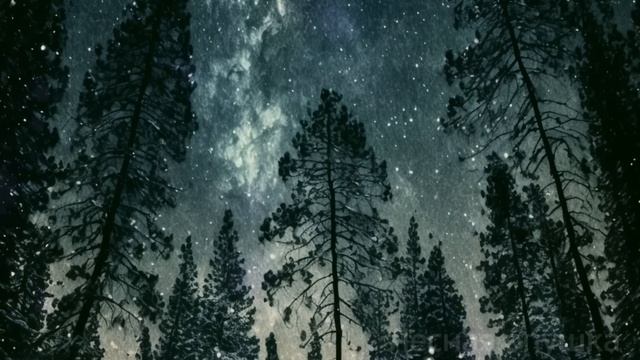 "Иди в сарай!" говорил отец дочери, когда наступала ночь и сам шел следом. Проследили - обомлели смотреть онлайн