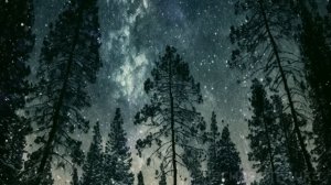 "Иди в сарай!" говорил отец дочери, когда наступала ночь и сам шел следом. Проследили - обомлели