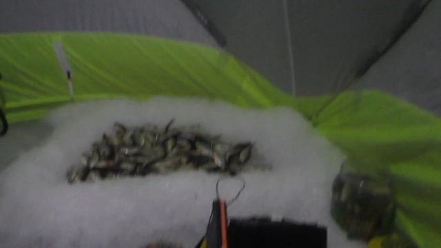 БЕШЕННЫЙ КЛЁВ ПО ПОСЛЕДНЕМУ ЛЬДУ  ВПЕРВЫЕ ОСТАЛСЯ С НОЧЁВКОЙ