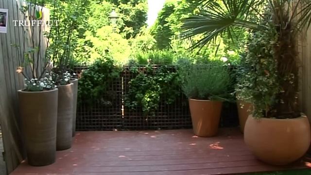 Aménager un balcon exposé au sud : les plantes de plein soleil - Truffaut смотреть онлайн