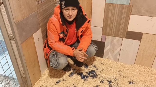 Валера знакомится с новыми людьми! Долгожданные новости от пса Валеры. Помощь животным смотреть онлайн