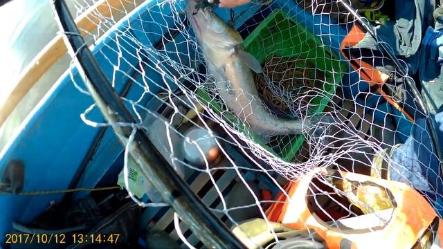 И еще один Судак на 4.500, р.Кама с.Саконы смотреть онлайн